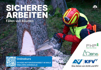 Broschüre der AUVA und des KFV zum sicheren Arbeiten im Wald (Cover)