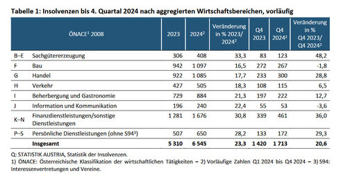 Insolvenzen 2024 (vorläufig; Quelle: Statistik Austria)