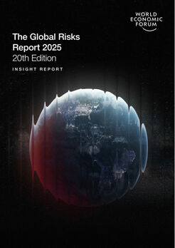 The Global Risks Report 2025 (Cover; Quelle: WEF)